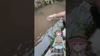 Mendadak Mancing