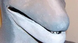 La felicidad de dolphin muzle