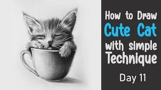 How to Draw a Cat by pencil with Easy Technique| Basic to Realistic Drawing & Shading - Class 11