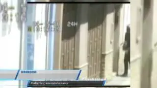BRINDISI MAFIA SCU ARRESTATO LATITANTE   TELEREGIONE 16 01 2017