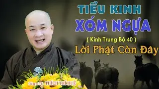 Kinh TB40 Tiểu Kinh X&oacute;m Ngựa - Lời Phật Dạy Như C&ograve;n Đ&acirc;u Đ&acirc;y - Rất hay. Thầy Th&iacute;ch Tr&iacute; Huệ