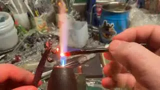 a lizard time lapsed working with boro glass