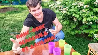 Пин-понг челлендж от DanVana и Глеба / Pin-pong challenge from DanVana and Gleb