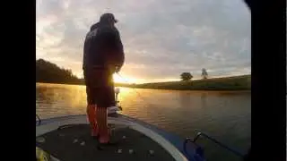 Australian Bass Maclaey River