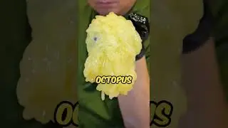 Яйца осьминога