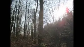 Bernstadt Fohlenhaus M&auml;rz 2015