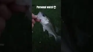 Personal Worst💀 #bassfishing #bankfishing #fishing #personalbest #fishingisfun