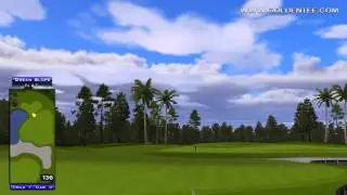 Golden Tee Great Shot on Winding Pines!