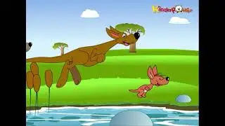 Kangaroo