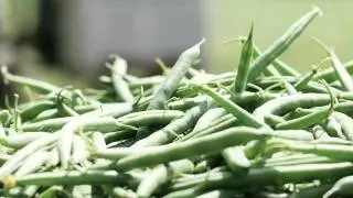 Big Y World Class Market: Plainville Farms
