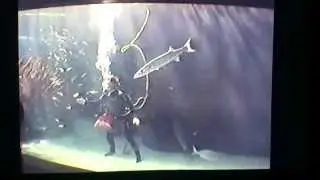 Superwaterman Divetalk!