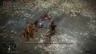 Second phase? what second phase?