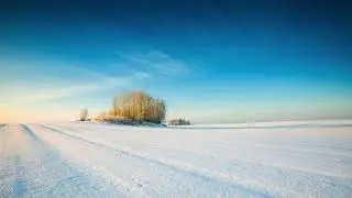 Cold
