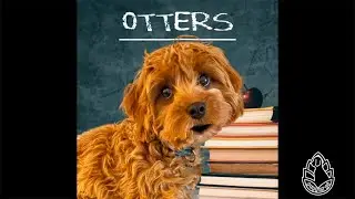 Otters | Wiki Wednesday