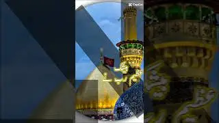 Whatssp status #karbala #yaali #ns #ns2024 #ns078