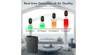 Transform Your Home Air Quality: MORENTO Air Purifier Review | Purchpad Insights