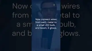Day72: Can You Light a Bulb with a Lemon? (Yes! It&rsquo;s electric!)#scienceexperiments #science