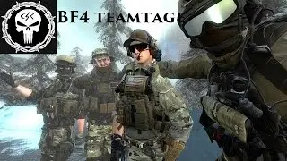 Curb Stomping Kiwi's - BF4 Team Montage