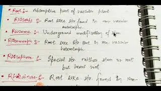 Root, Rhzoids, Rhizome, Rhizomorph, Rhizophore, Rhaizainae