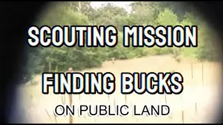 Scouting Public Land Pays Off | Found Two HUGE BUCKS