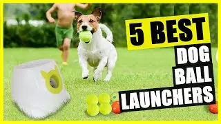 TOP 5: Best Automatic Dog Ball Launcher 2023 | Interactive Ball Thrower Machine