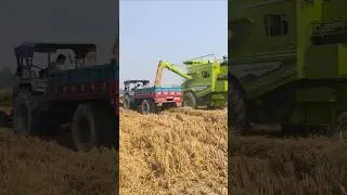 #shorts Sonalika tractor ka video #viral shorts