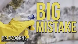 Mold Remediation Mistakes: Ozone, Cleaning, & How to Safely Move After Exposure