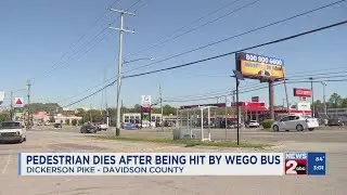 Pedestrian dies after being struck by WeGo bus in Nashville, TN