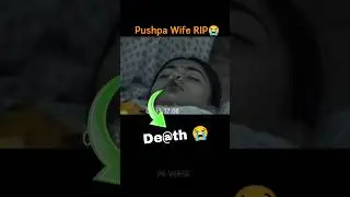 Pushpa 2 Movie Hidden Details 😭😭 Pushpa 3 Story Leak #shorts #movie #pushpa2 #pushpa3 #shortfeed
