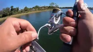 25&rdquo; Panama City East Bay Redfish 