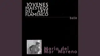 Siguiriyas sin baile flamenco