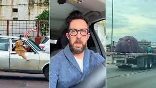 These Road Moments Are So Insane They Don&rsquo;t Feel Real 💥