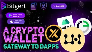 🌊 Bitgert - криптоинженерная организация, ориентированная на блокчейн-продукты и аудиторские решения
