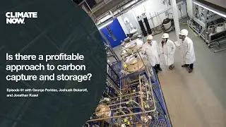 Is there a profitable approach to carbon capture and storage?