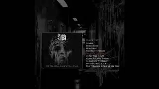 Denial of Light - No Will to Strive