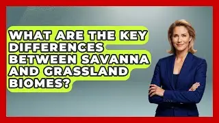 What Are The Key Differences Between Savanna And Grassland Biomes? - Explaining Ecology