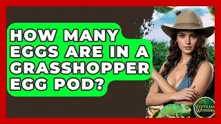 How Many Eggs Are In A Grasshopper Egg Pod? - Reptilian Wonders