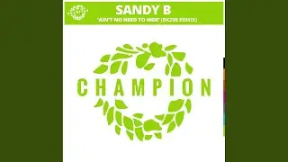 Ain't No Need To Hide (BK298 Extended Remix)