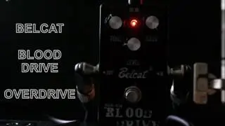 Belcat Blood Drive Overdrive / Distortion Guitar Effect Pedal Demo