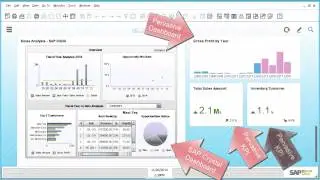 Analytics for SAP Business One in 150 seconds
