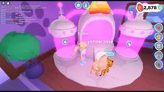 Overlook Bay Shiny Pets Update!  | Roblox |
