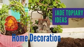 🟢 Jade Plant Home Decoration Ideas | Lucky Plant for Wealth & Peace  #trending