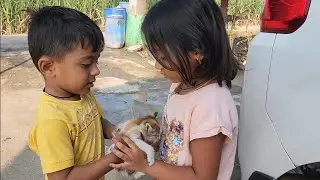 cat video | funny cat video | cat videos |मांजरी ला पाजलं दूध 😅 तनु अन माऊली ला सापडली मांजर 🔴 #cat