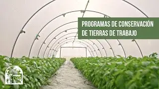 Lo que debe saber sobre los programas de conservaci&oacute;n de tierras de trabajo