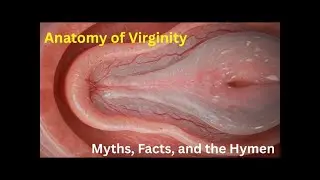 Anatomy of Virginity &ndash; Myths, Facts, and the Hymen