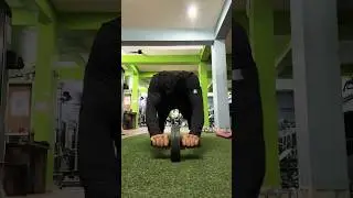 #gymmotivation #corestrength #absworkout #gymlover #greenmediavision #interview #tranding #gym