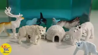 Learn Arctic animals with toys splashing in water. Educational video for toddlers and children