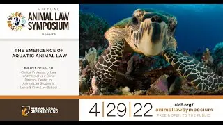 Animal Law Symposium 2022: The Emergence of Aquatic Animal Law