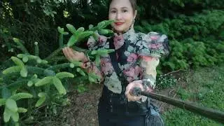 Mamasyal kami dito sa Heritage garden New Zealand Nov. 15, 2025