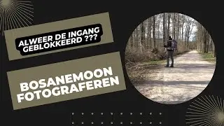 Fotografie vlog 27 | Bosanemoon Macrofotografie |